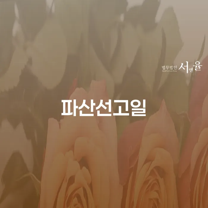 화순군 신용회복지원 개인회생으로 해결 해결하기