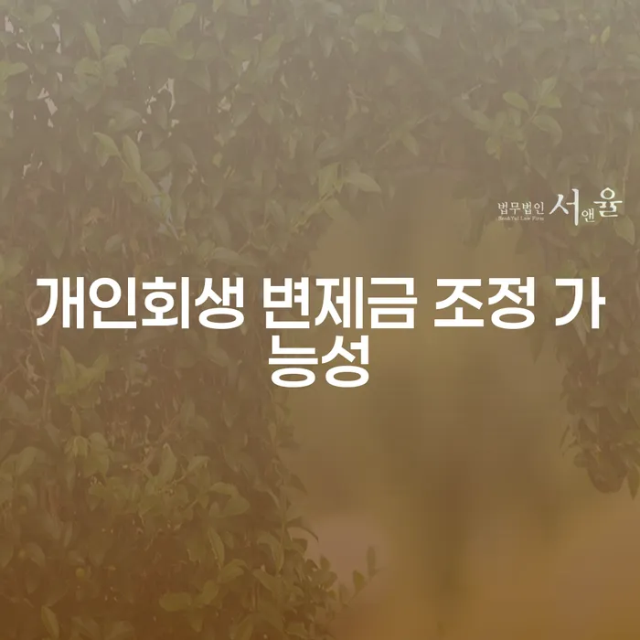 개인회생 변제금 조정 가능성을 어떻게 높일 수 있을까요?